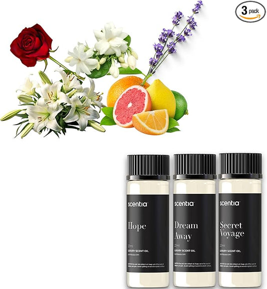 Perfume-Inspired Essential Oil Set – 3×20ml Diffuser Oils with Floral & Woody Notes | Designer Fragrance Blends for Home, Spa & Aromatherapy - Thanksgiving & Holiday Gift - Bloomnest