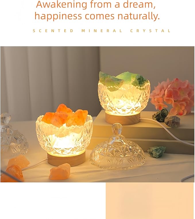 Himalayan Salt Lamp Night Light, Aromatic Diffuser Stone with Wood Base & Lid, LED USB Salt Lamp for Office, Bedroom, Bathroom, Gift for Relaxation & Sleep(White) - Bloomnest