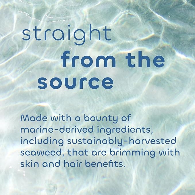 Seaweed Bath Co. Bubbling Muscle Soak, Tea Tree Lavender Scent, 12 Ounce, Sustainably Harvested Seaweed, French Sea Clay, Arnica - Bloomnest