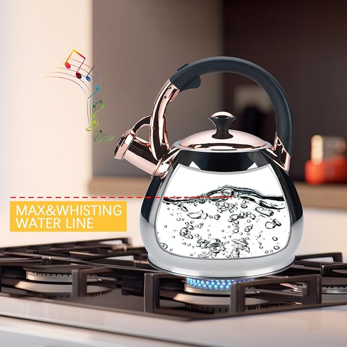 Tea Kettle Stovetop Whistling Kettle Teapot, 3Quart Tea Pot Stainless Steel Teakettle for Stove Top with Heat Proof Ergonomic Handle - Bloomnest