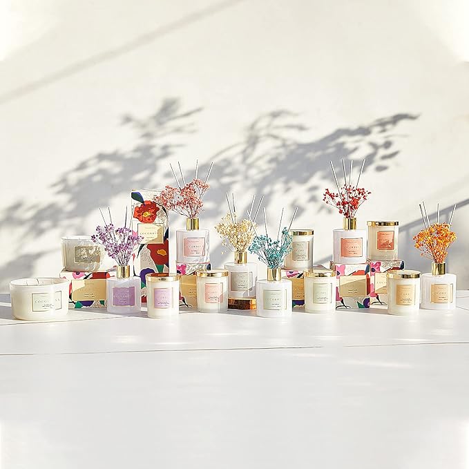 Cocorrína Premium Reed Diffuser Set with Preserved Baby's Breath & Cotton Stick Coconut Lime | 6.7oz Scent Fragrance Oil Diffuser for Bedroom Bathroom Home Décor - Bloomnest
