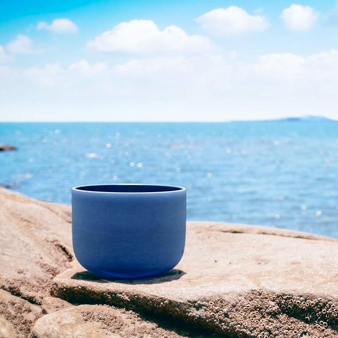 TOPFUND 440 hz Indigo A Note Crystal Singing Bowl Third Eye Chakra 8 inch with Heavy Duty Carrying Case and Suede Mallet