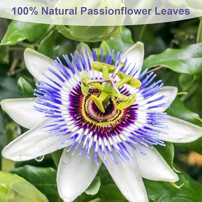 TEARELAE - Passion Flower Tea, 50 Count - Pure Passionflowers Leaves Tea Bags - Pasiflora Tea for Relaxation & Sleep- Non-GMO - Caffeine-Free - Bloomnest