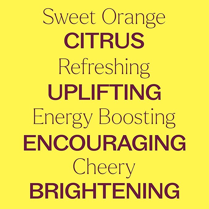Plant Therapy Sweet Orange Organic Essential Oil 100% Pure, USDA Certified Organic, Undiluted, Natural Aromatherapy, Therapeutic Grade 30 mL (1 oz) - Bloomnest