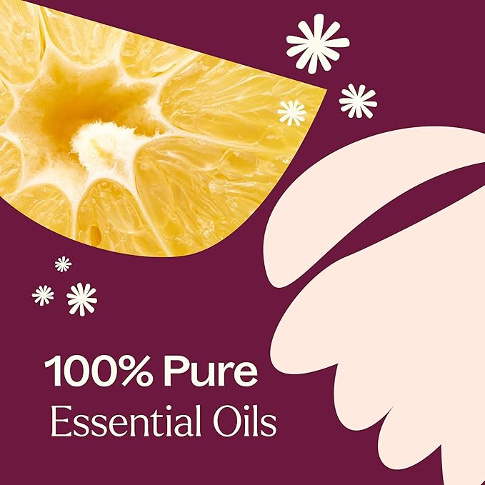 Plant Therapy Sugar Plum Fairy Holiday Essential Oil Blend 10 mL (1/3 oz) Citrus-Sweet & Floral Scent, Cheerful & Inviting, Helps Set The Mood for Relaxation - Bloomnest