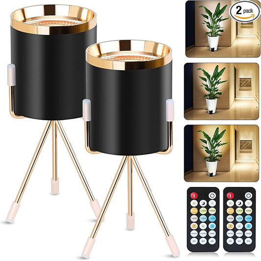 Spot Lights Indoor Floor Lamp, 6W Uplighting Indoor with Remote, Dimmable & Timer & 3 Color Temperatures, 2700K to 6500K Floor Can Lights for Plants Pictures Corner Ambient Lighting, 2 Pack - Bloomnest