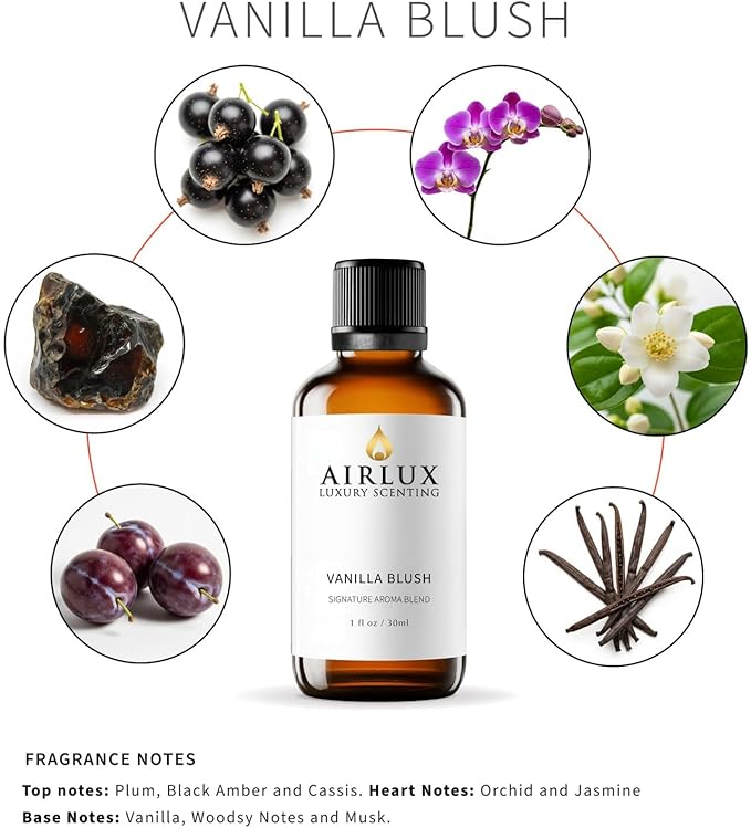 Signature Aroma Oil No. 214 Vanilla Blush – Plum, Black Amber, Cassis – Aroma Oil for Cold Air & Waterless Diffusers and DIY Crafts – 30 mL, 1.0 fl oz Glass Bottle Airlux