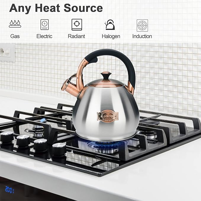 Tea Kettle Stovetop Whistling Kettle Teapot, 3Quart Tea Pot Stainless Steel Teakettle for Stove Top with Heat Proof Ergonomic Handle - Bloomnest