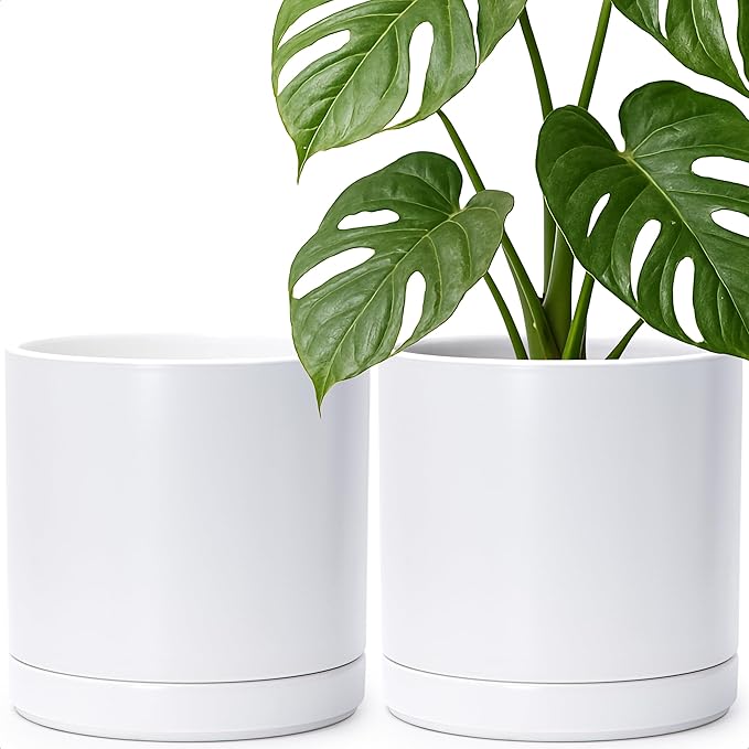 D'vine Dev Set of 2 Plants Pots, 10 Inch Ceramic Planter Pot for Plants with Drainage Hole and Saucer, White, 94-V-E-1 - Bloomnest