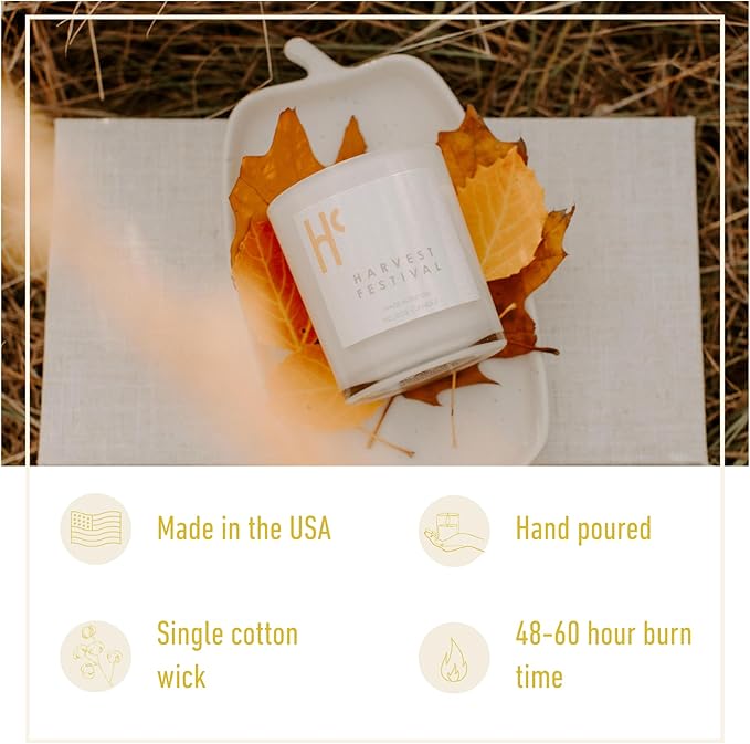 Long-Lasting Harvest Festival Fragrance - Single Wick Scented Candles - Up to 60 Hour Burn Time, Cruelty-Free Soy Candle Wax Blend - Pumpkin Fragrance, Notes of Amber & Orange (9 oz) - Bloomnest