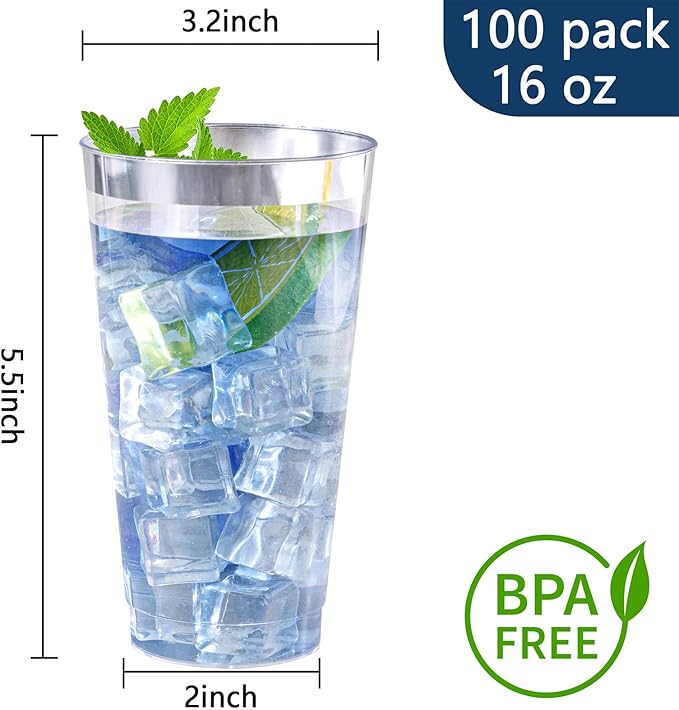 I00000 16 oz Silver Plastic Cups, 100 Pack Clear Plastic Cups,Silver Rimmed Disposable Cup, Heavy-duty Disposable Tumblers Perfect for Party, Holiday, Wedding & Birthday - Bloomnest