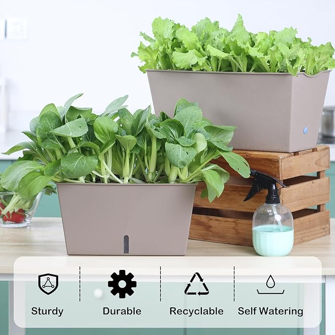 Window Box Planter 6 Pcs, 12.6 Inches Self Watering Rectangle Flower Plant Pots with Drainage Holes & Breathable Trays, Vegetable Planters for Windowsill Patio Garden Balcony Porch Yard (Khaki) - Bloomnest