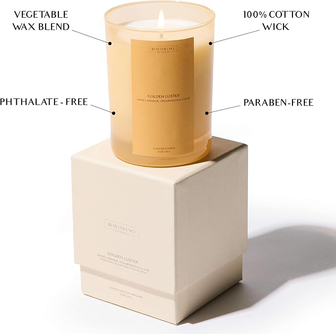 Orange, Cedarwood & Clove Scented Candle | 11oz, 60 Hour Burn | Natural Soy Wax, Cotton Wick | Fall & Holiday Candles | Christmas Scented Candles for Home | Sun-Kissed Collection - Golden Luster - Bloomnest