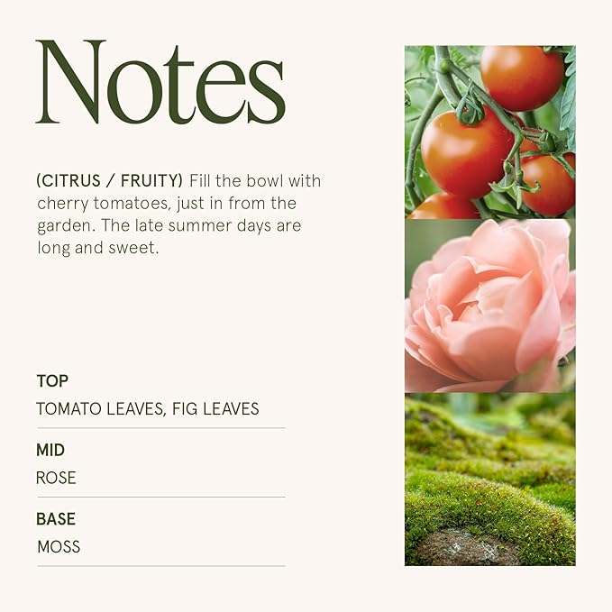 LA JOLIE MUSE Tomato & Vine Candle - Tomato Leaf, Rose, Moss | 6 oz Natural Soy Wax | 40 Hours Clean Burn | Fresh Garden Scented Candle | Gift-Ready for Hosts & Gatherings - Bloomnest