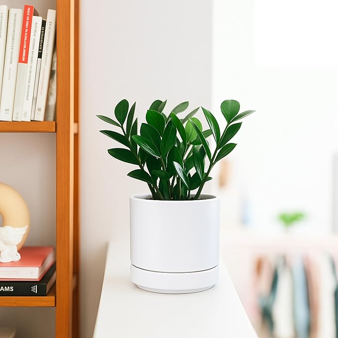 D'vine Dev Set of 2 Plants Pot, 4.7 Inch Ceramic Planter Pot for Plants with Drainage Hole and Saucer, White, 94-V-B-1 - Bloomnest