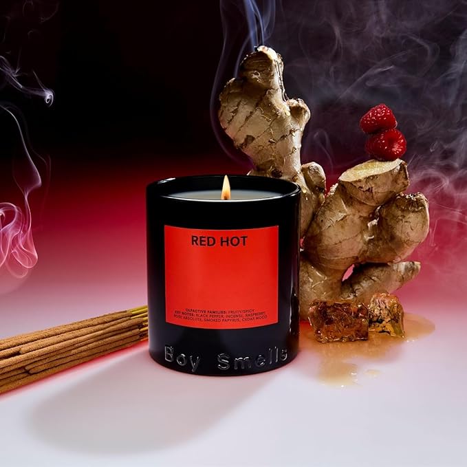 Boy Smells - Ash Scented Candles for Men and Women - 27 oz - Soy, Coconut Wax Candle Blend - Aromatic Candles for Home with Black Charcoal, Rare Woods and Clove - 100-Hour Burn - Cotton Wick - Bloomnest