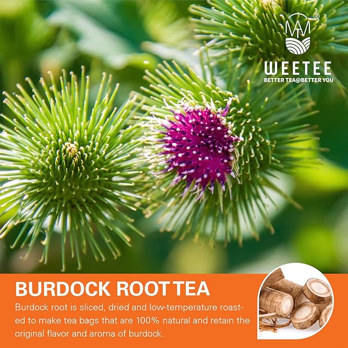 WT WEETEE Burdock Root Tea Bags, Made with 100% Pure Burdock Root, Rich in Antioxidants, Naturally Caffeine-free Herbal Tea, 100 Count - Bloomnest