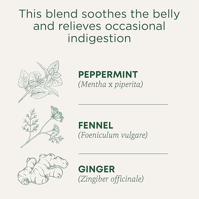 Traditional Medicinals Tea, Organic Belly Comfort Peppermint, Promotes Healthy Digestion, 16 Tea Bags - Bloomnest