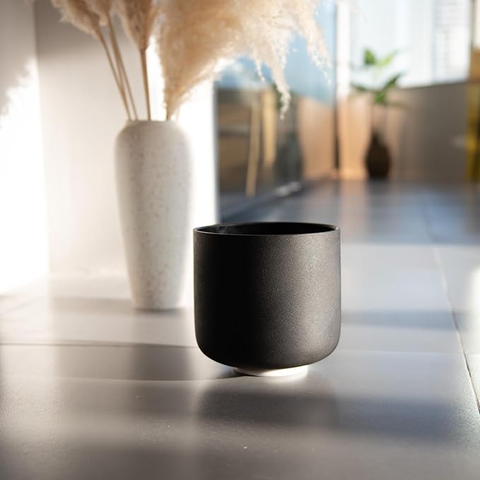 TOPFUND Black G# Note Crystal Singing Bowl Zeal Chakra 8" with Heavy Duty Carrying Case and Suede Mallet