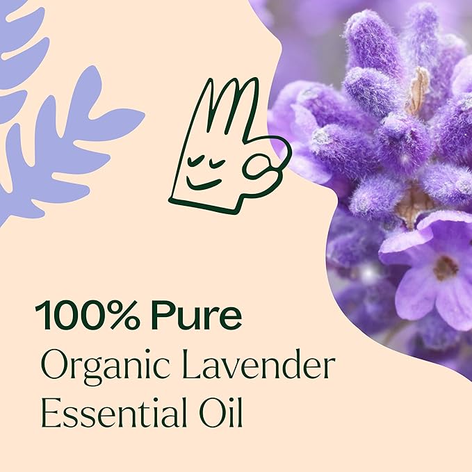 Plant Therapy Organic Lavender Essential Oil 100% Pure, USDA Certified Organic, Undiluted, Natural Aromatherapy, Therapeutic Grade 10 mL (1/3 oz) - Bloomnest