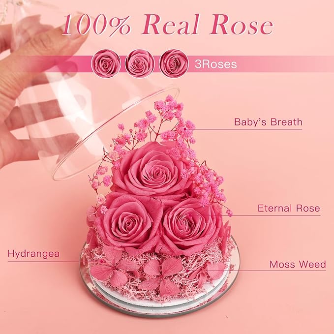 Valentines Day Gifts for Her Preserved Flower Rose Gifts for Women, Forever Eternal Flowers in Glass Angel Figurines Flowers for Delivery Prime Pink Roses for Grandma Mom Sister Wife Birthday Decor - Bloomnest