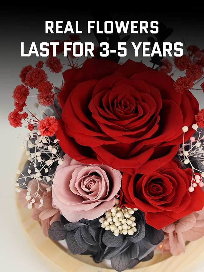 FIACO Valentines Day Gifts for Her Preserved Rose Forever Fresh Flowers for Delivery Birthday Gift for Women Mom Grandma Wife Mothers Day Anniversary Eternal Roses in Glass Dome - Bloomnest