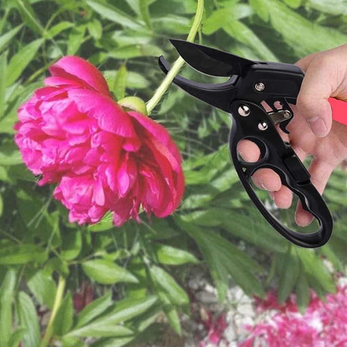 Ultra Sharp Germany Steel Pruning Shears - Cuts 3X Easier, Weak Hand Arthritis Snips, Rust-Resistant, Effortlessly 1-Inch Cut Capacity Garden Scissors, Ergonomic Handle (Reddish balck) - Bloomnest