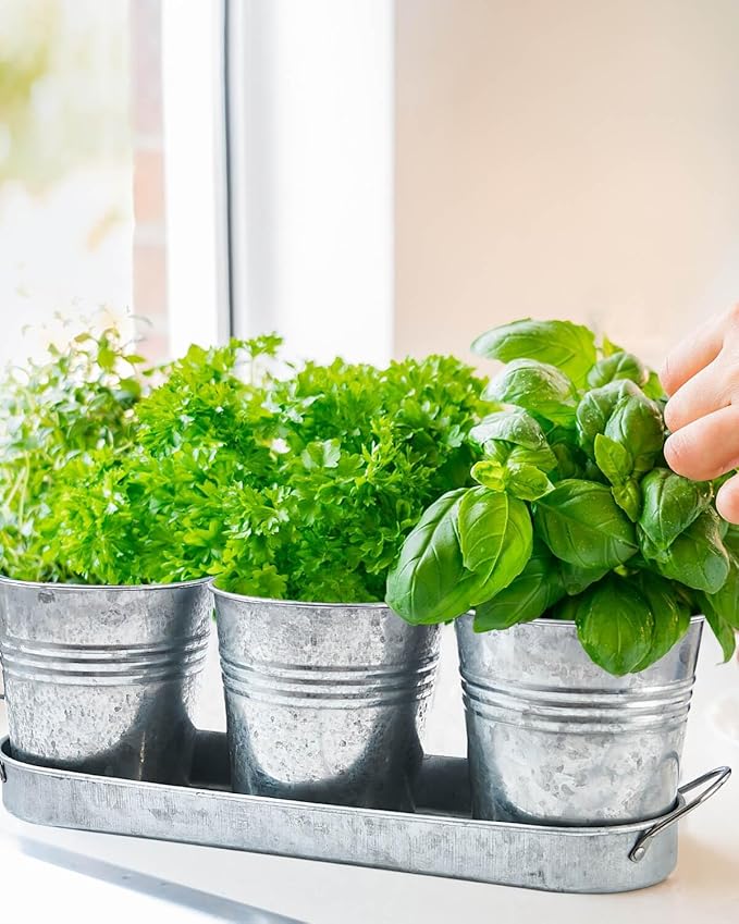 vensovo Indoor Herb Planter Set - Galvanized Windowsill Garden Pots with Tray & Drainage, Set of 3 Metal Window Planters for Kitchen & Outdoor Use, Silver - Bloomnest