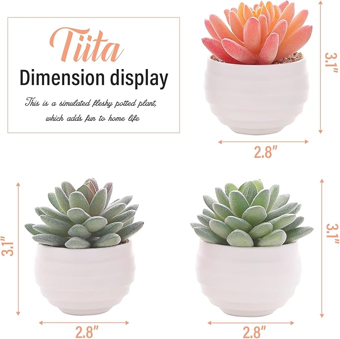 Tiita Artificial Faux Succulents in Pots Fake Plants Ceramic Arrangement Planter for Women Desk Small Mini Tiny Decoration for Home Office Desk Window - Bloomnest