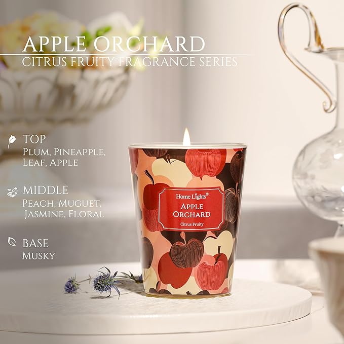 HomeLights Soy Wax Candles for Home Scented, 1-Wick Candles in Apple Orchard Scented, Aromatherapy Candles Gift for Parties, Relaxing, Eclectic Mixed Styles, 6.7oz - Bloomnest