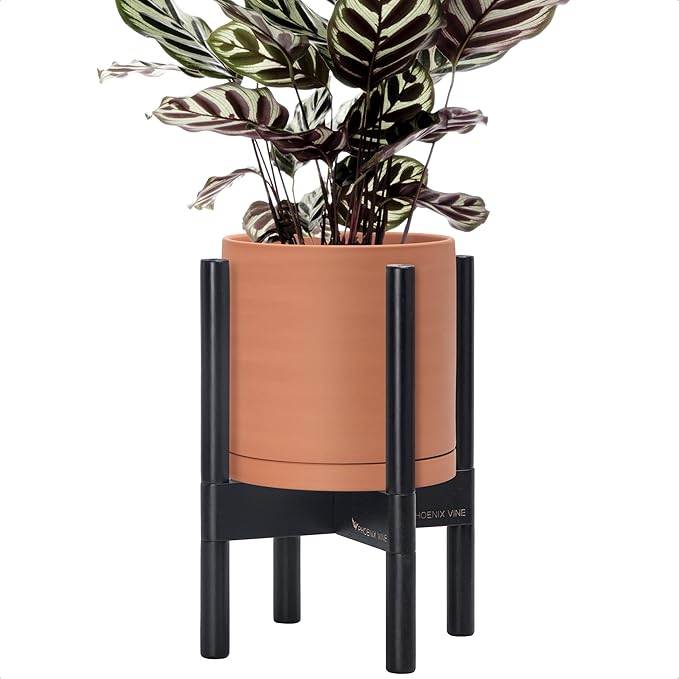 D'vine Dev Terracotta Planter with Ebony Stand - 8 Inch Modern Round Flower Pot with Wood Planter Holder, Terracotta, 55-B-M-5 - Bloomnest
