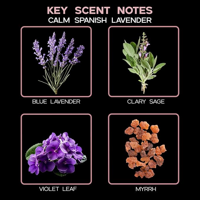 LOVSPA Calm Spanish Lavender Diffuser Oil - Luxury Essential Oils for Diffuser Refill & Air Freshener Room Spray - Long-Lasting & Natural Home Fragrance, Scented Oil for Diffusers, USA Made, 4oz - Bloomnest