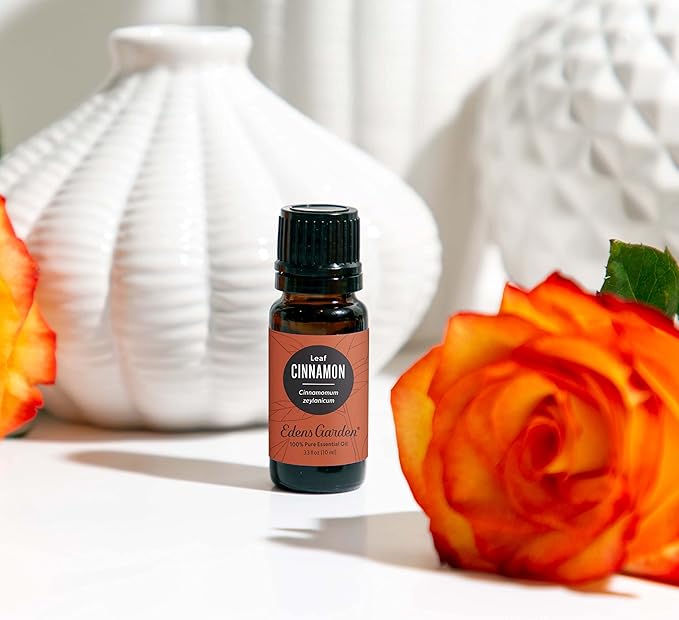 Edens Garden Cinnamon- Leaf Essential Oil- 100% Pure Premium Grade, Undiluted, Natural, Therapeutic, Aromatherapy, The Best for Diffuser, Candle, Laundry, Humidifiers 10 ml (.33 fl oz) - Bloomnest