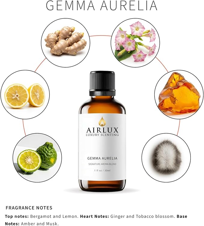 Signature Aroma Oil No. 584 Gemma Aurelia – Aroma Oil for Cold Air & Waterless Diffusers and DIY Crafts – 30 mL, 1.0 fl oz Glass Bottle Airlux