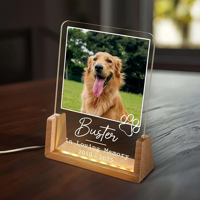Personalized Pet Memorial LED Night Light, Custom Dog & Cat Photo Plaque, Pet Lover Keepsake, Animal Memorial Frame, Sympathy Gift for Pet Loss, Gifts for Dog and Cat Owners Table Decor - Bloomnest