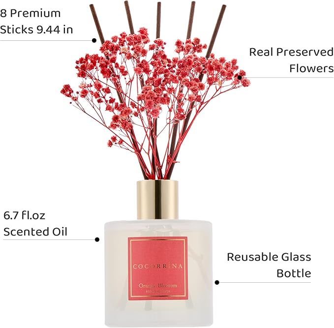 COCORRÍNA Reed Diffuser - Orange Blossom 6.76 Fl.oz Reed Diffuser Sets with Preserved Flowers, Diffuser with 8 Sticks for Bathroom Shelf Decor - Bloomnest