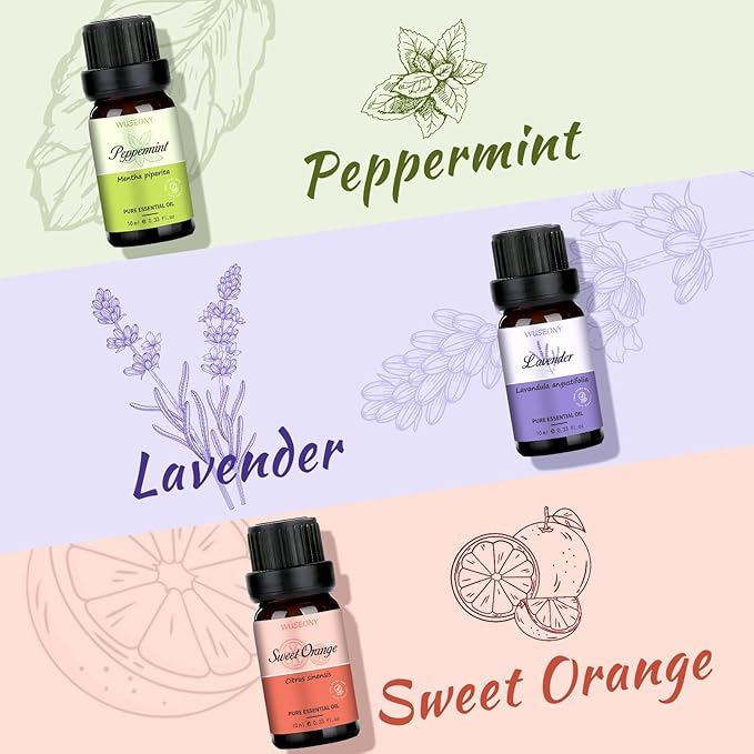 Top 6 Natural Aromatherapy Oils Gift Set, Essential Oils for Diffusers Home, Fragrance Oil Scent for Candle Soap Making - Lavender, Peppermint, Eucalyptus, Lemongrass, Sweet Orange, Clove - Bloomnest