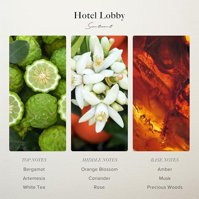 Scentiment Diffuser Oil - Hotel Lobby | Aromatherapy Fragrance Inspired by 5-Star Hotels | Luxurious Scent with Notes of White Tea, Bergamot, Orange Blossom, Amber & Marine (500ml) Scentiment