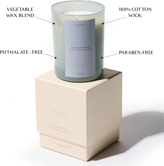 Eucalyptus Fig & Sandalwood Scented Candle | 11oz, 60 Hour Burn | Natural Soy Wax, Cotton Wick | Holiday Candles | Christmas Scented Candles for Home | Sun-Kissed Collection - Pacific Driftwood - Bloomnest