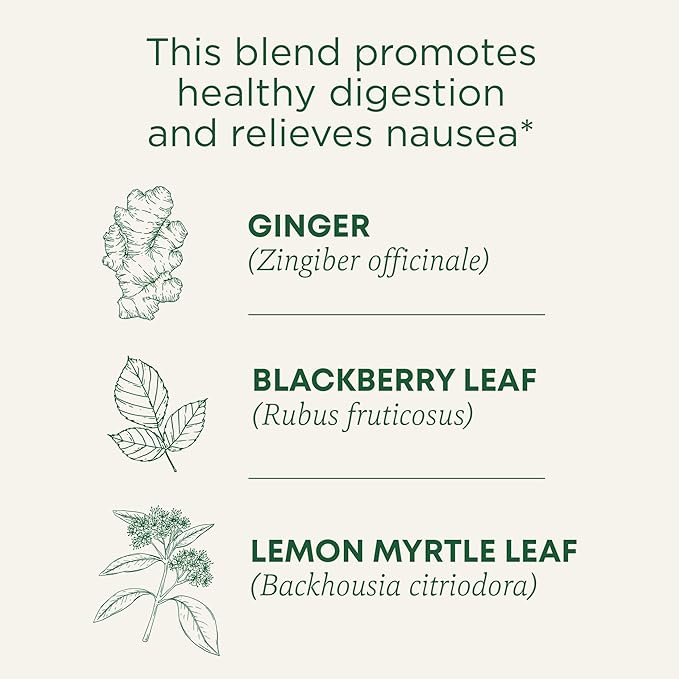 Traditional Medicinals Tea, Organic Ginger Aid, Promotes Healthy Digestion, 16 Tea Bags - Bloomnest