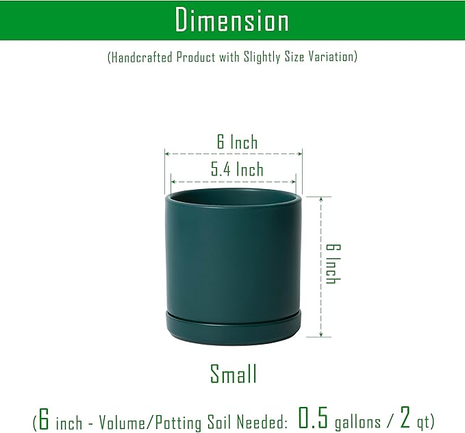 D'vine Dev Set of 2 Plants Pots, 6 Inch Ceramic Planter Pot for Plants with Drainage Hole and Saucer, Teal, 94-V-C-9 - Bloomnest