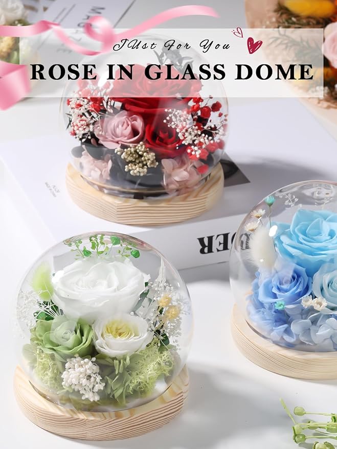 FIACO Preserved Rose Birthday Gift for Women Forever Fresh Flowers for Prime Delivery Gift for Mom Grandma Wife Valentines Mothers Day Christmas Anniversary Eternal Roses in Glass Dome - Bloomnest