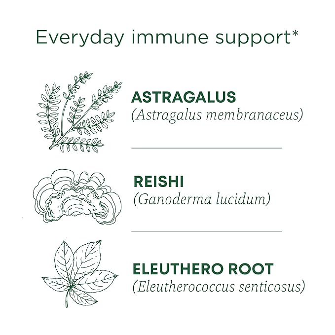 Traditional Medicinals Organic, Stress Ease Immune with Adaptogens, Reishi Warming Spice - Immune Support with Astragalus - Kosher, Non-GMO, Caffeine-Free, Compostable - 16 Count (Pack of 2) - Bloomnest