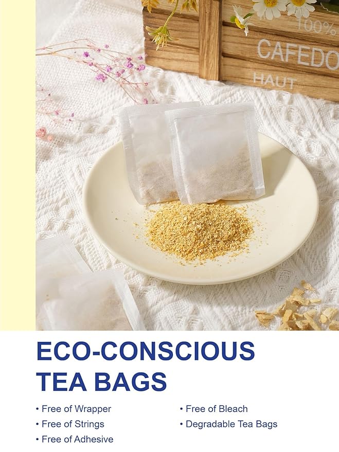 TeeLux Ginger Tea Bags, Natural Ginger Root Tea, Spicy & Zesty & Warm Flavor, Caffeine Free, 100 Count - Bloomnest