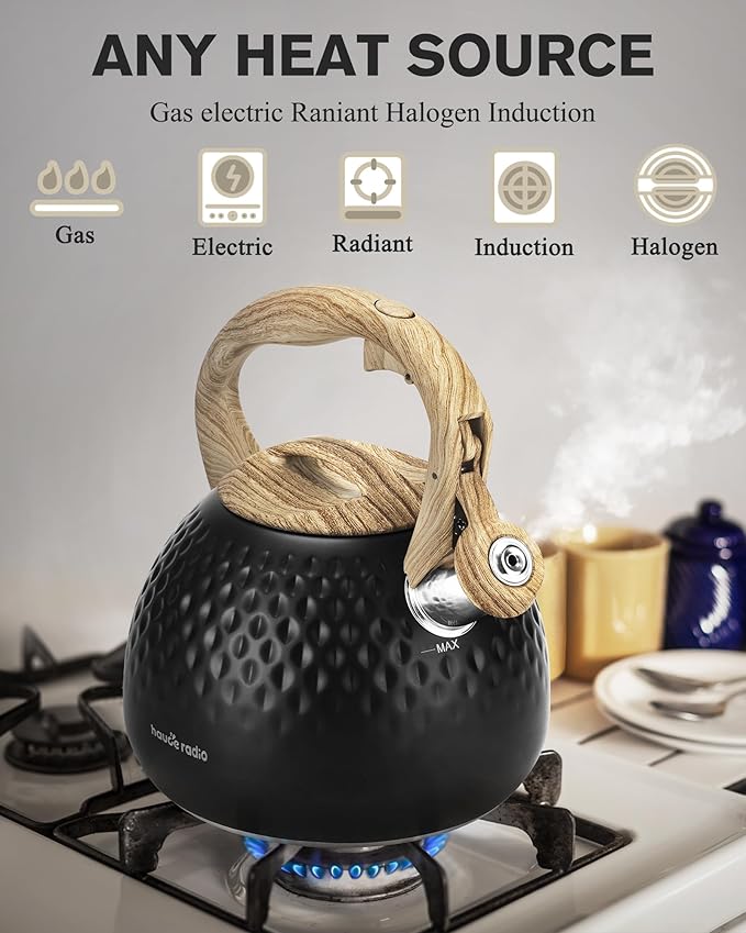 Tea Kettle Stovetop,2.5QT Stainless Steel Whistling Teapot for Stove Top Aesthetic,Portable Water Kettles Camping with Anti-hot Silicone Handle,Suitable for All Heat Sources,Black - Bloomnest