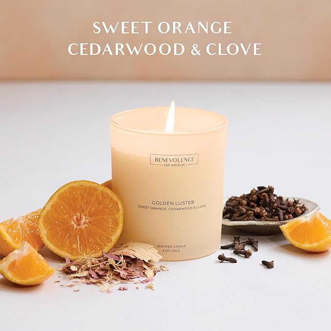 Orange, Cedarwood & Clove – Benevolence LA Fall Scented Candle for Home | 8oz, 45-Hour Burn | Natural Soy Wax, Cotton Wick | Warm Autumn Fragrance | Malibu Sands Collection – Gift for Women & Men - Bloomnest