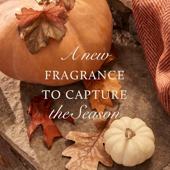 Thymes Scented Candles for Women & Men – Tin with Lid – Luxury Home Decor – Pumpkin Candles with Notes of Nutmeg, Cinnamon, Clove, & Orange Peel – Fall Decor (Pumpkin Laurel, 6.5 oz) - Bloomnest