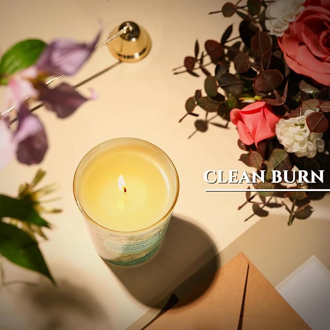 HomeLights Balsam Cedarwood Scented Candles | 6.7oz Soy Candles Industrial Chic Large Candle Jars | Ideal Candle Gifts for Events, Home Decor Stress, Relief & Relaxation - Bloomnest