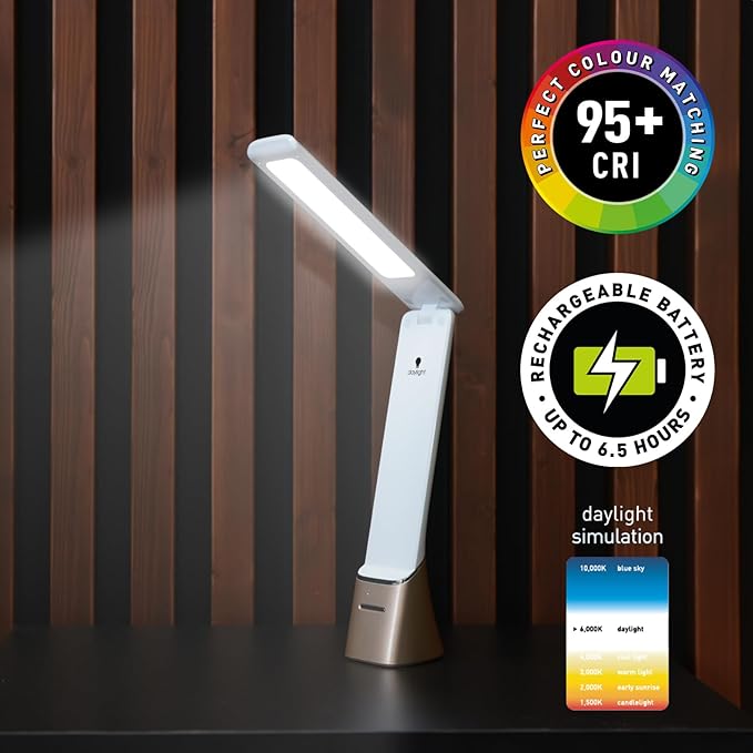 daylight Smart Go Portable Ideal for Reading, Light Therapy, Everyday Tasks, Crafts, Desk Work, DIY, Led, Chargeable lamp, 1 Count (Pack of 1), White - Bloomnest