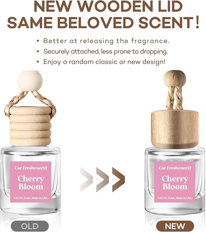 Car Air Freshener Hanging 2 Pack, Air Freshener Diffuser for Cars, Air Fresheners Diffuser oil For Car,Car Air Freshener For Women - Bloomnest